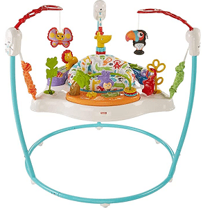 Fisher-Price Animal Activity Jumperoo - baby bouncer