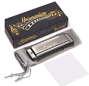 Harmonica for Toddlers and Kids